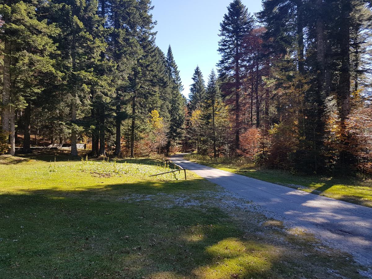 Chalet Calla Mrkopalj Buitenkant foto